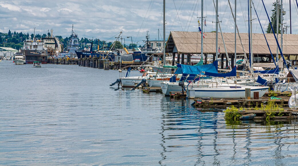 The Ballard Locks, is a complex of locks at the west end of Salmon Bay, in Lake Washington Ship Canal, between Puget Sound and Lake Union.