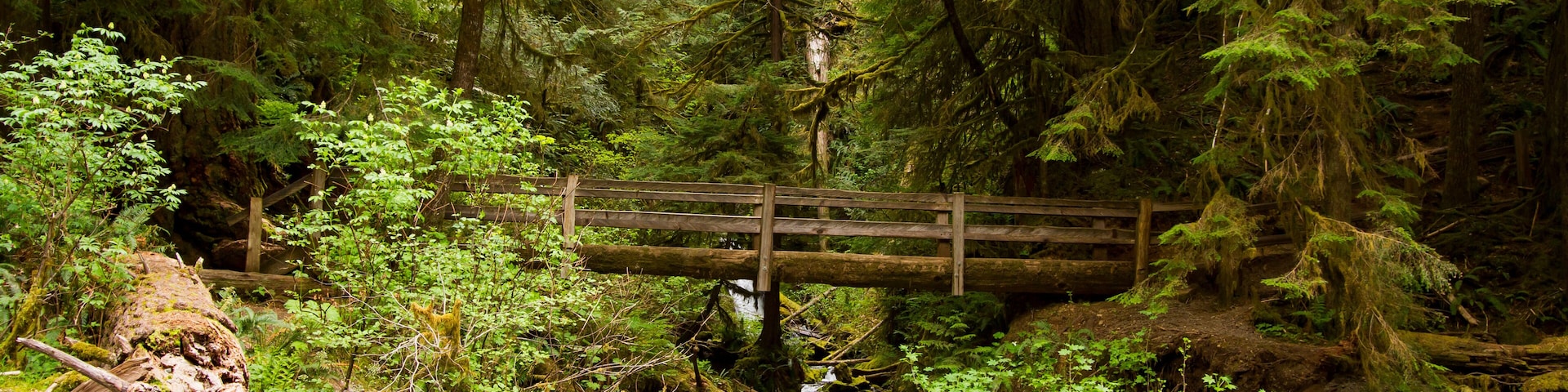 Nature Bridge end near Marymere Falls, Olympic National Park