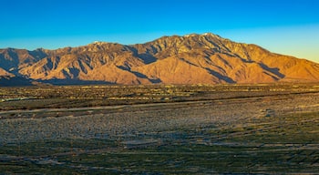 Snow Capped San Jacinto mountain towering over Palm Springs at Sunrise