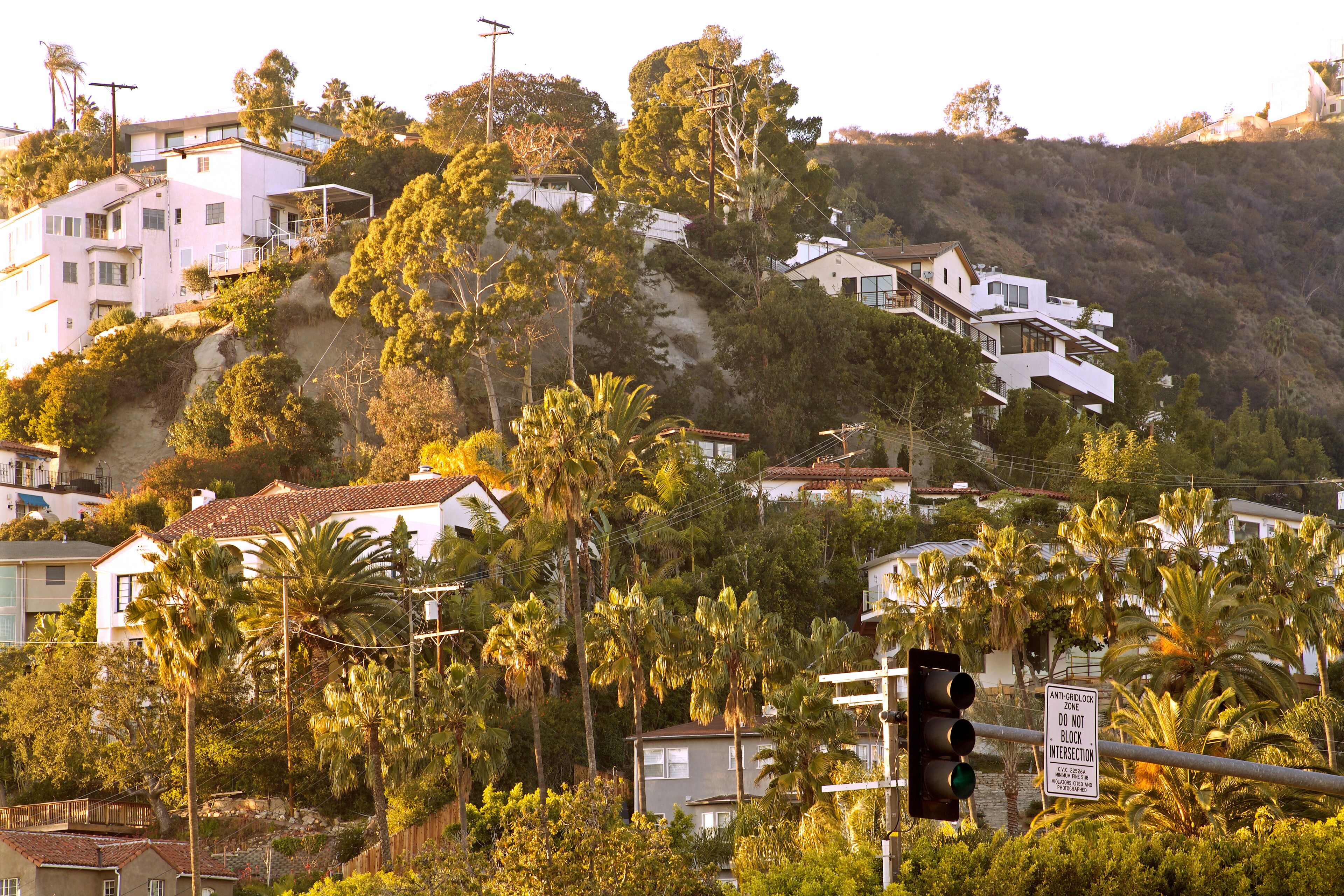 Houses and palm trees in the hills above the Sunset Strip in West Hollywood