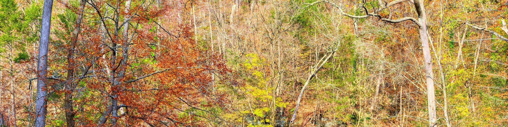 Old bridge in autumn in Philadelphia PA during fall 2024 in Wissahickon Valley Creek Park