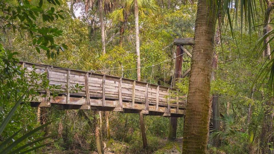 The wooded footbridge extends past the reflection of the Hillsboro River. The water cascades past an ancient trees. The river reflects the blue sky at the Hillsboro River State Park Tampa Florida.