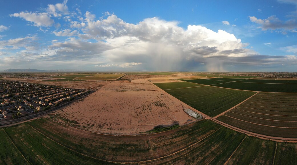 Neely Farms