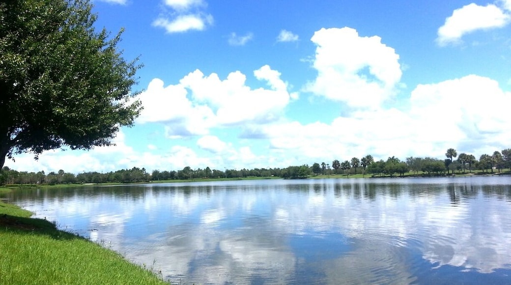 Southeast end of the lake at traditions.