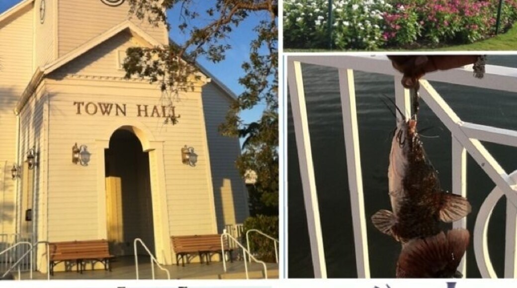 Just some of the different sites in the Tradition Square. Great community with a nice family atmosphere.