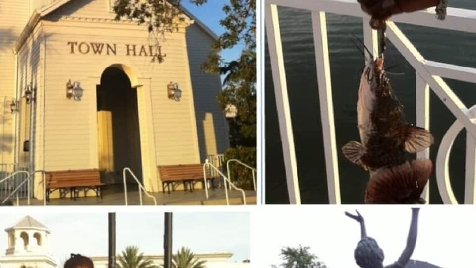 Just some of the different sites in the Tradition Square. Great community with a nice family atmosphere.