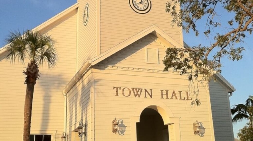 A town hall center in the newly built community of 'Tradition'.