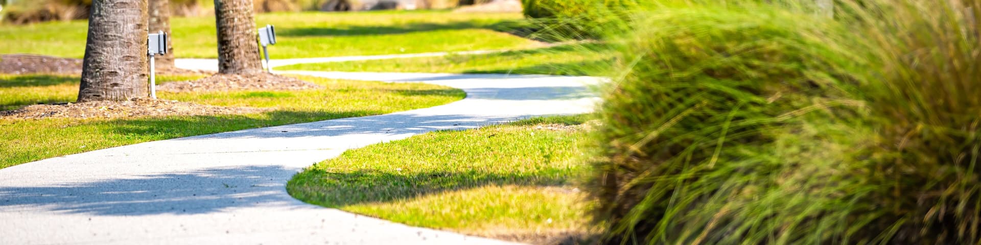 Green park in St. Augustine, Florida with palm trees and pedestrian paved path with buildings, people in blurry blurred background in sunny summer