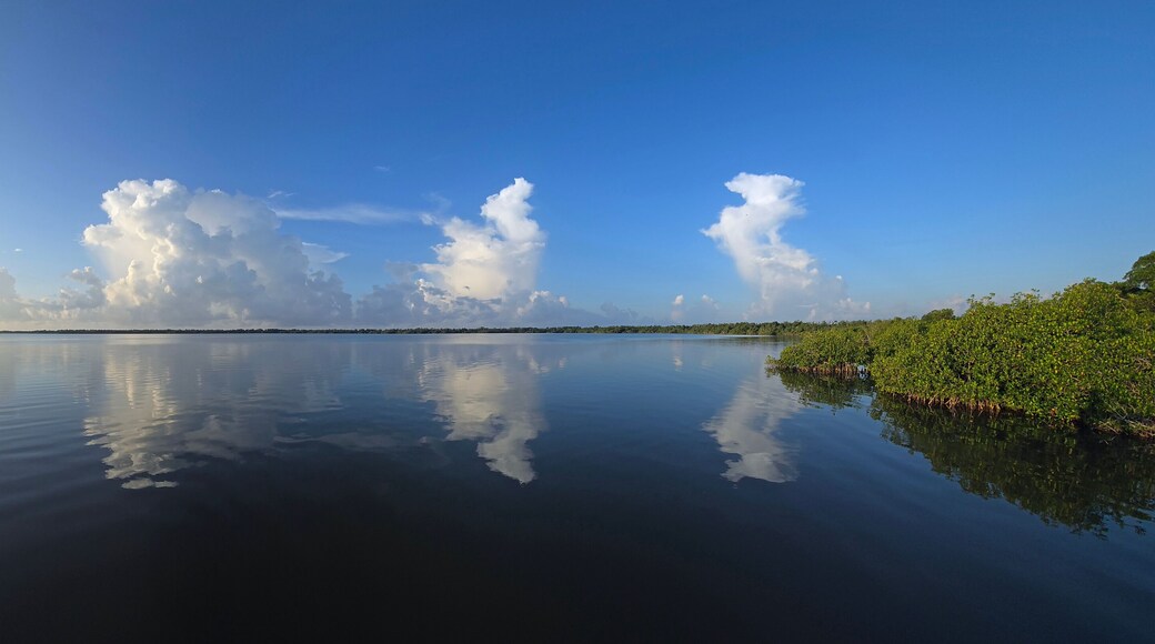 เมลาลูกา การ์เด้นส์