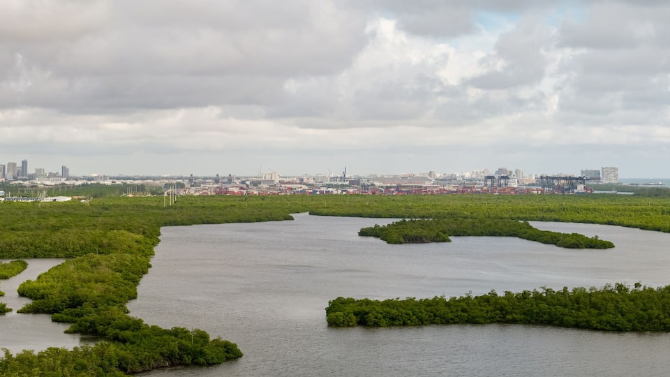 Aerial panorama Port Everglades Fort Lauderdale Florida