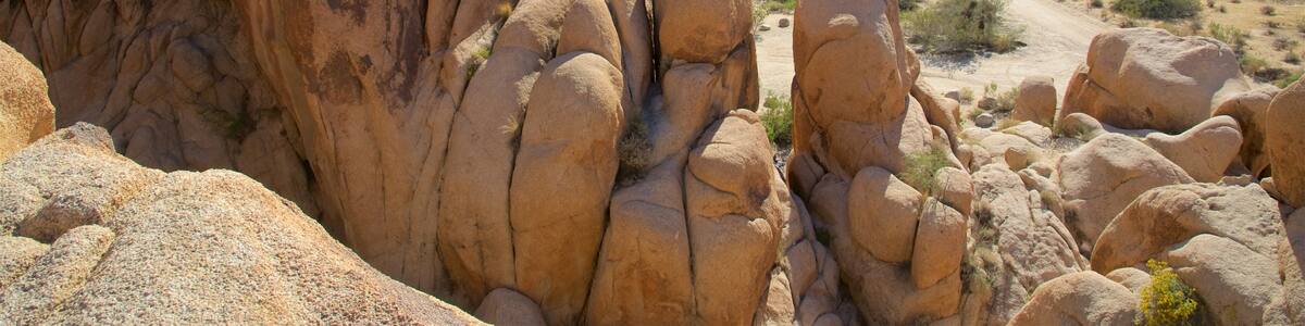 Joshua Tree National Park which includes mountains and desert views