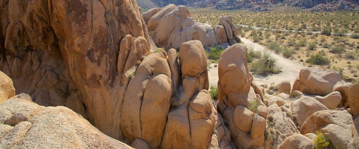 Parque Nacional Joshua Tree ofreciendo montañas y vistas al desierto