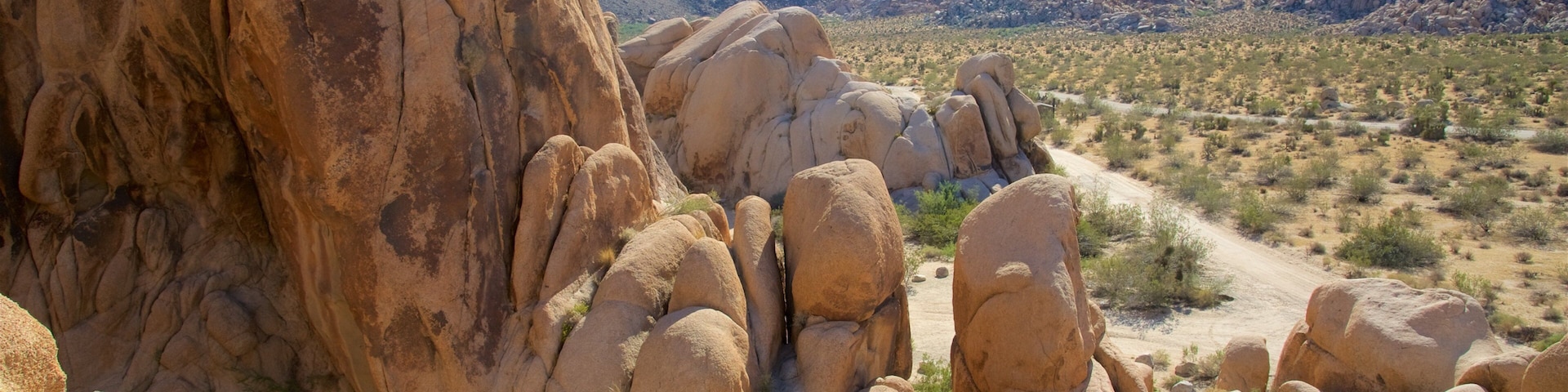 Joshua Tree National Park which includes mountains and desert views