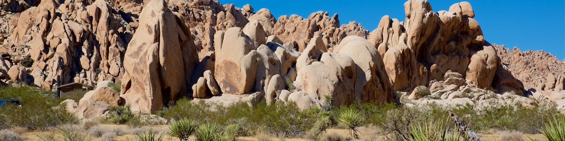 Joshua Tree National Park which includes desert views