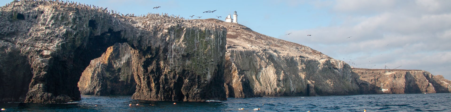Anacapa Island Arch and Lighthouse with pelicans flying over in the Channel Islands National Park offshore from the Ventura Oxnard area of southern California USA