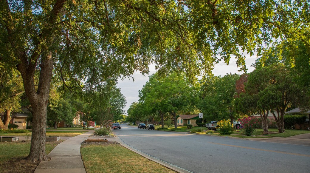 Allandale showing a small town or village