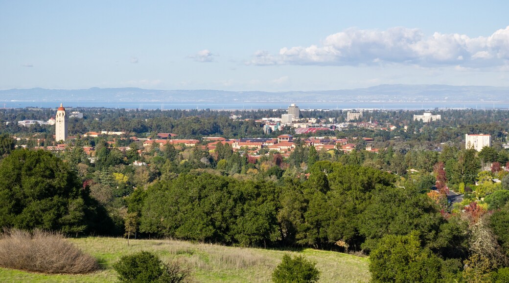 ลินเดนวูด