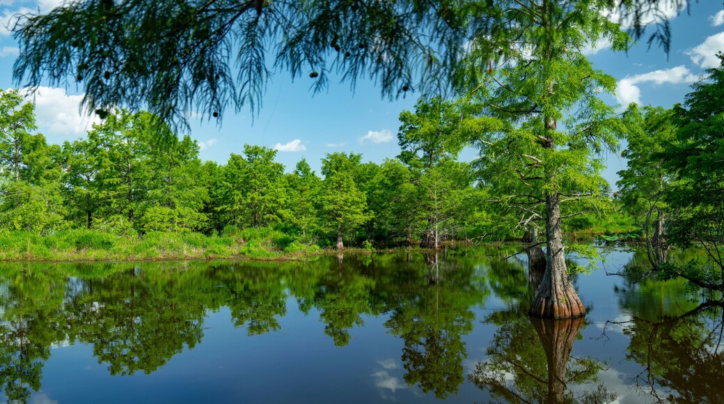 ซิเอนนา วิลเลจ ออฟ วอเตอร์ส เลค