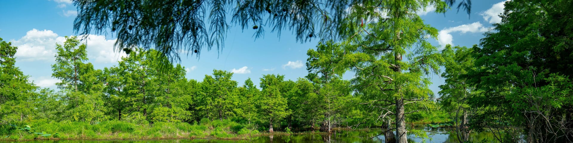 Sheldon Lake reservoir, Houston, Texas