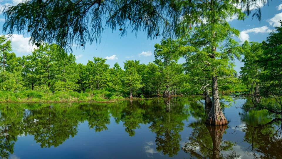Sheldon Lake reservoir, Houston, Texas