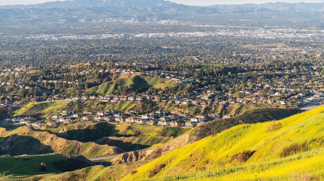 Wildflower mountain slopes and valley view homes in the San Fernando Valley area of north Los Angeles, California.