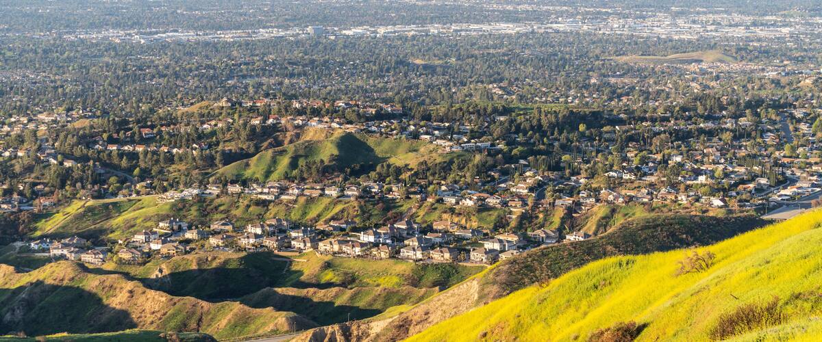Wildflower mountain slopes and valley view homes in the San Fernando Valley area of north Los Angeles, California.