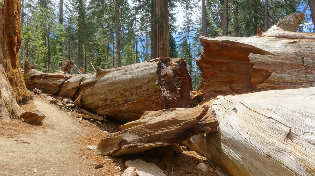 กรีนไซด์ พาร์ค