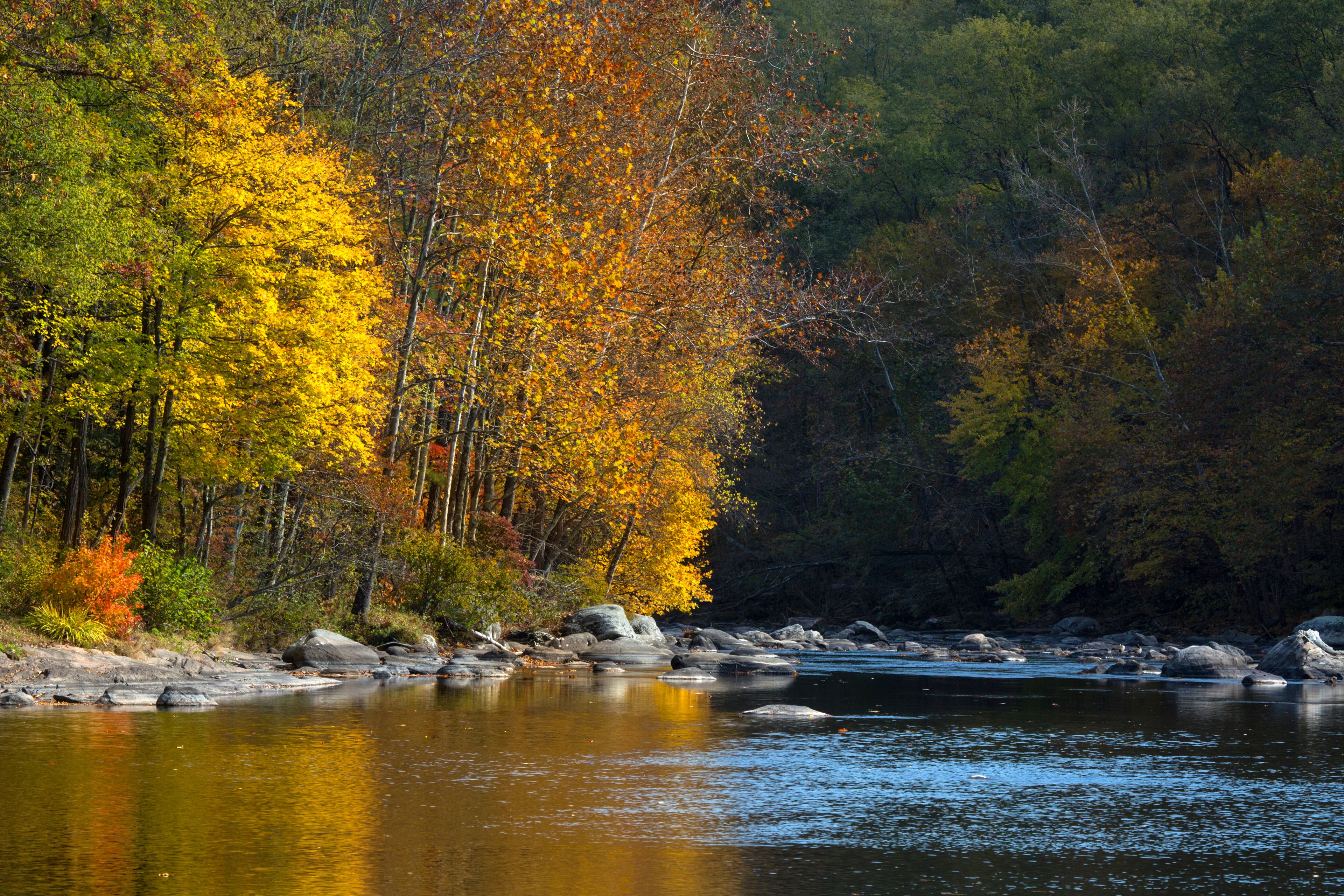Vivid fall foliage reflects on the Farmington River, Canton, Connecticut.