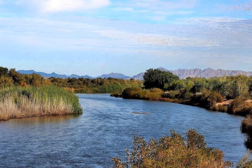 Since being redone a few years back, Yuma's Wetlands Park has turned into a gorgeous little getaway near the historic downtown Yuma and Yuma Territorial Prison. 