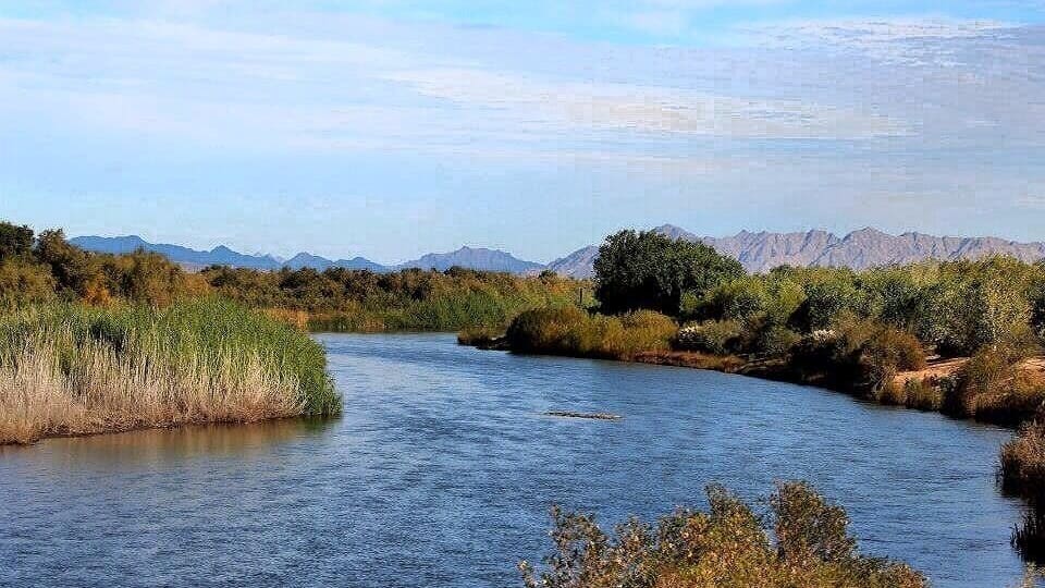 Since being redone a few years back, Yuma's Wetlands Park has turned into a gorgeous little getaway near the historic downtown Yuma and Yuma Territorial Prison.