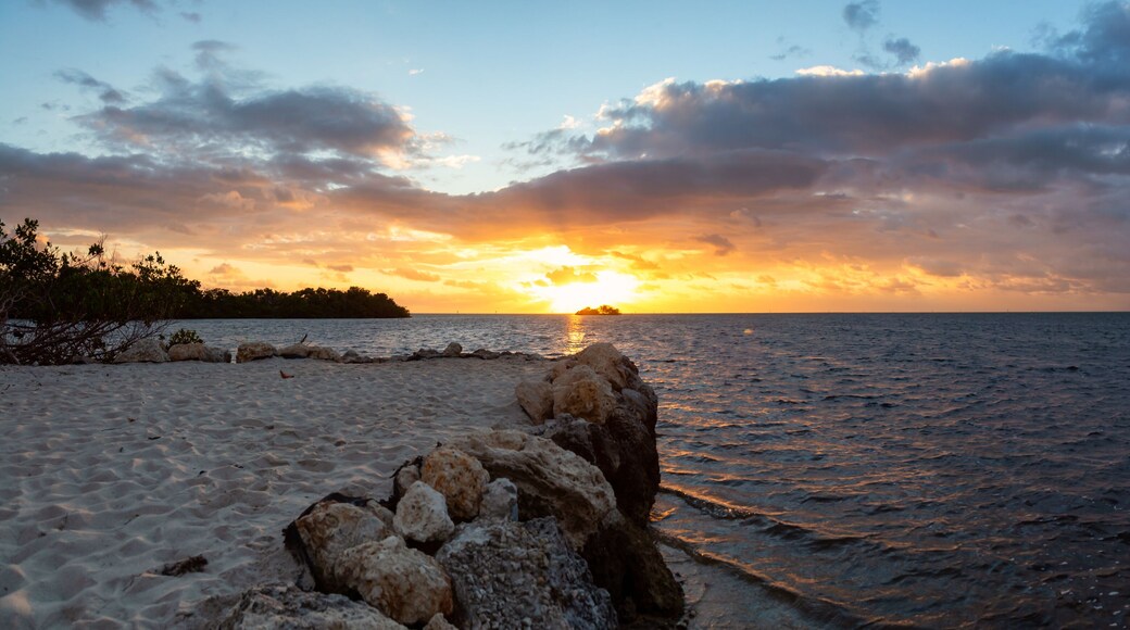Dramatic cloudy sunrise viewed on a tropical sandy beach at the Atlantic Ocean Shore. Plantation Key, Florida Keys, Florida, United States.