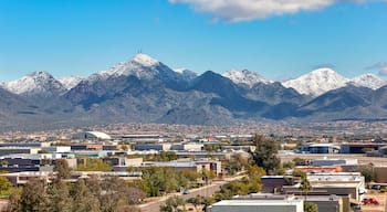 North Scottsdale Airpark