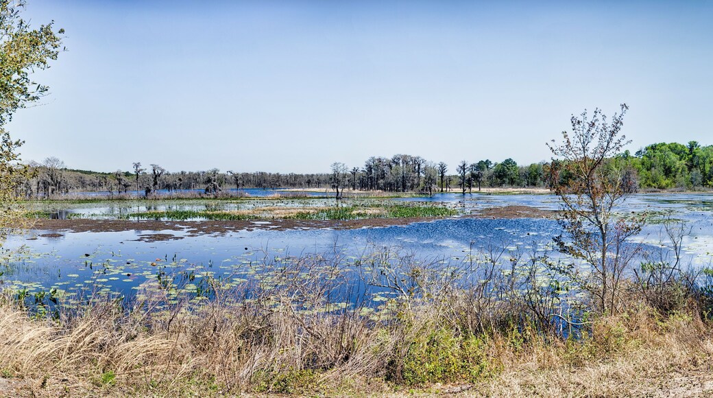 Estates del Llac Padgett