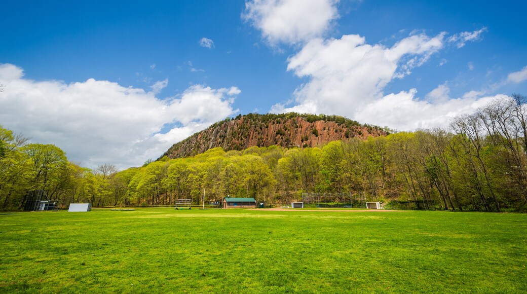 เวสต์ นิว เฮเว่น