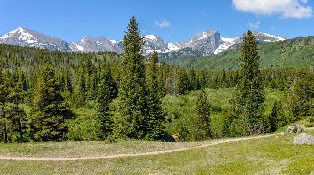 Summer Mountains - A panoramic summer view of a hiking path winding through dense evergreen forest towards snow-capped high mountain range in Rocky Mountain National Park, Estes Park, Colorado, USA.
