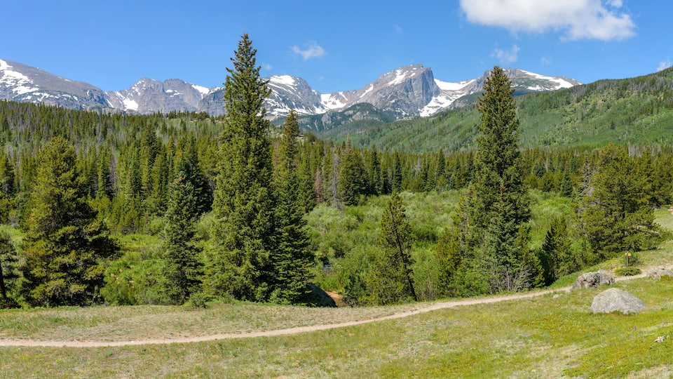 Summer Mountains - A panoramic summer view of a hiking path winding through dense evergreen forest towards snow-capped high mountain range in Rocky Mountain National Park, Estes Park, Colorado, USA.