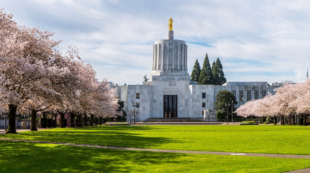 เซาท์อีสต์ ซาเล็ม