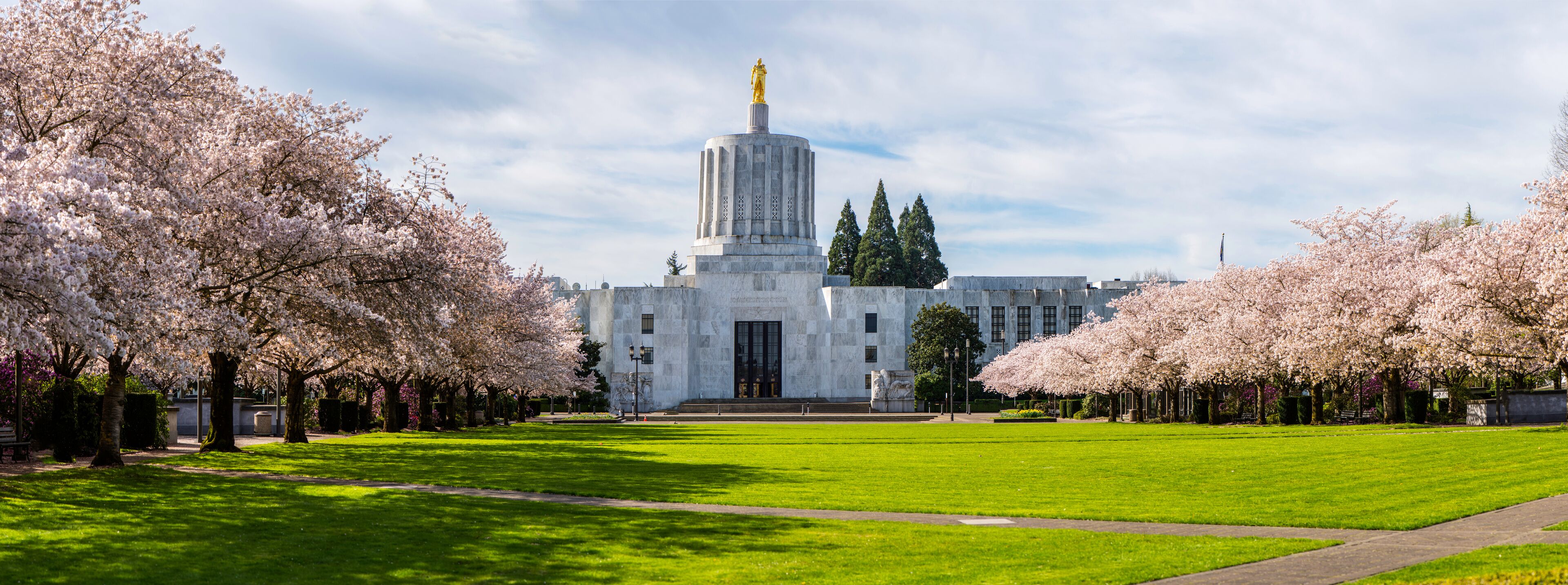 A large building with a statue on top, surrounded by cherry blossom trees.