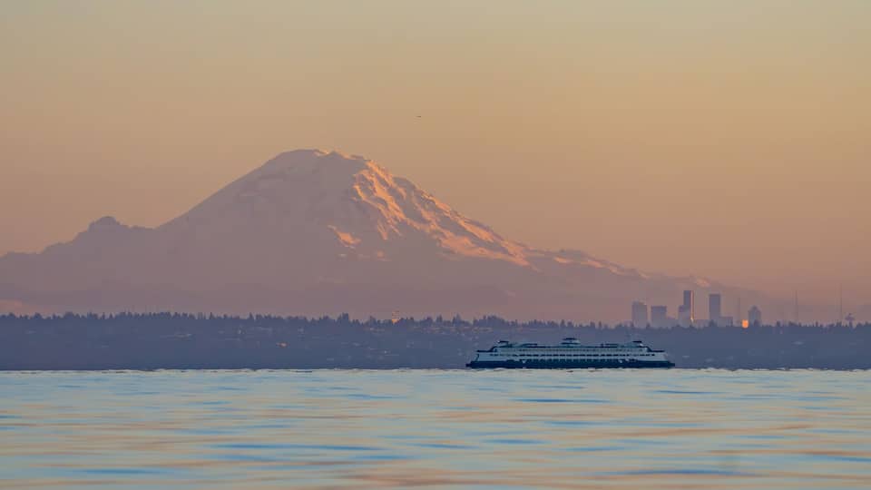 A cruise ship on a body of water with a mountain in the background.