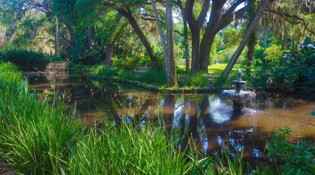 วินโดเวอร์ ฟาร์มส