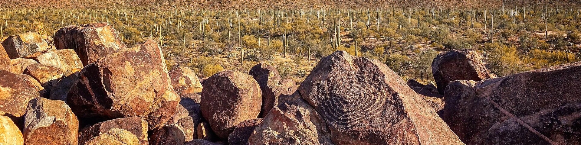 Native American Petroglyphs on Signal Hill in Saguaro National P