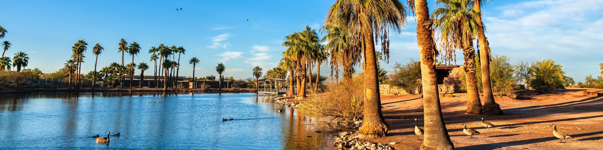 Palm Trees and Water Reflection at an Oasis Surrounded by Desert in Papago Park, Phoenix, Arizona, United States