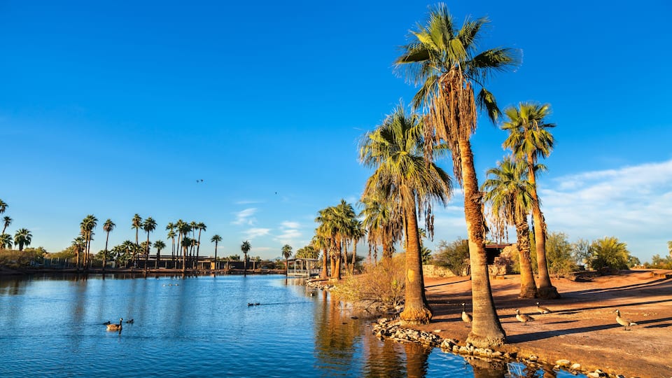 Palm Trees and Water Reflection at an Oasis Surrounded by Desert in Papago Park, Phoenix, Arizona, United States