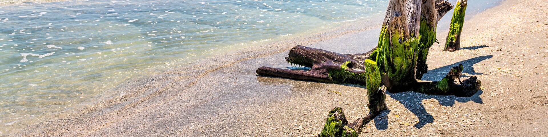 A beach with clear turquoise water, a sandy shore, and a weathered driftwood structure.