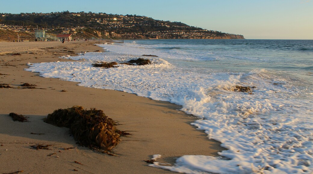 The Shoreline of Torrance State Beach, Los Angeles County, California