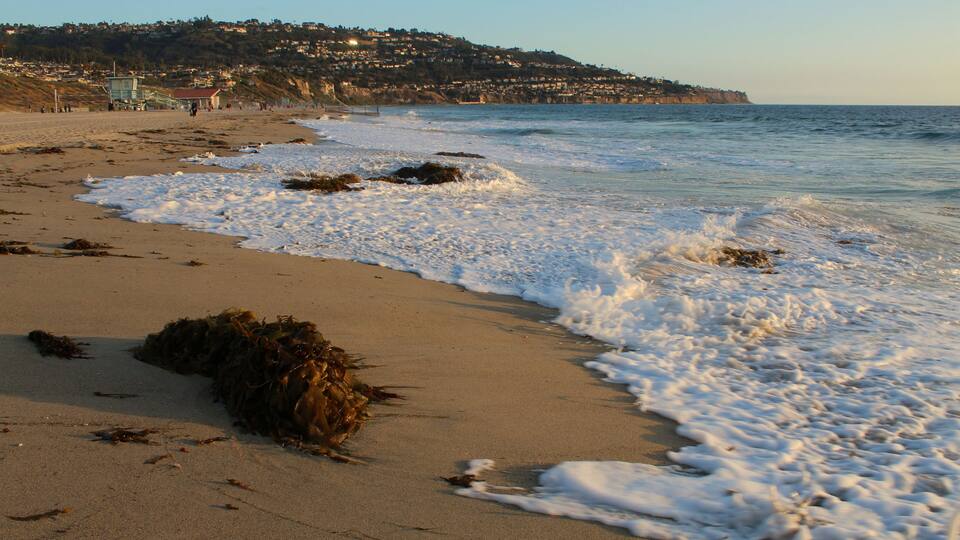 The Shoreline of Torrance State Beach, Los Angeles County, California