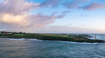 นาวีลีวีลี