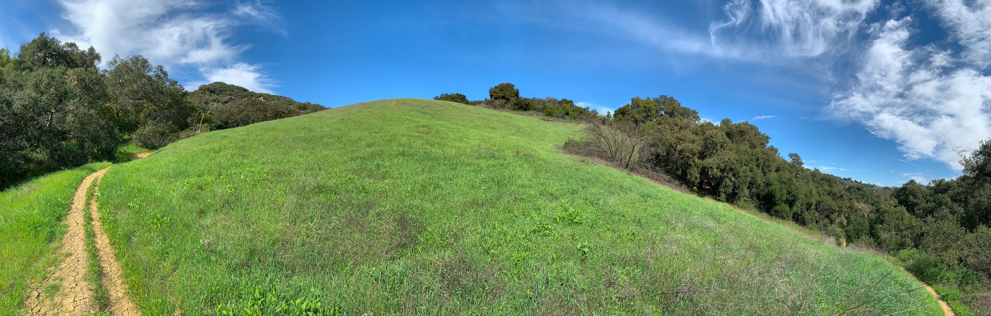 A grassy hill with a dirt path leading up to a forested area under a clear blue sky.