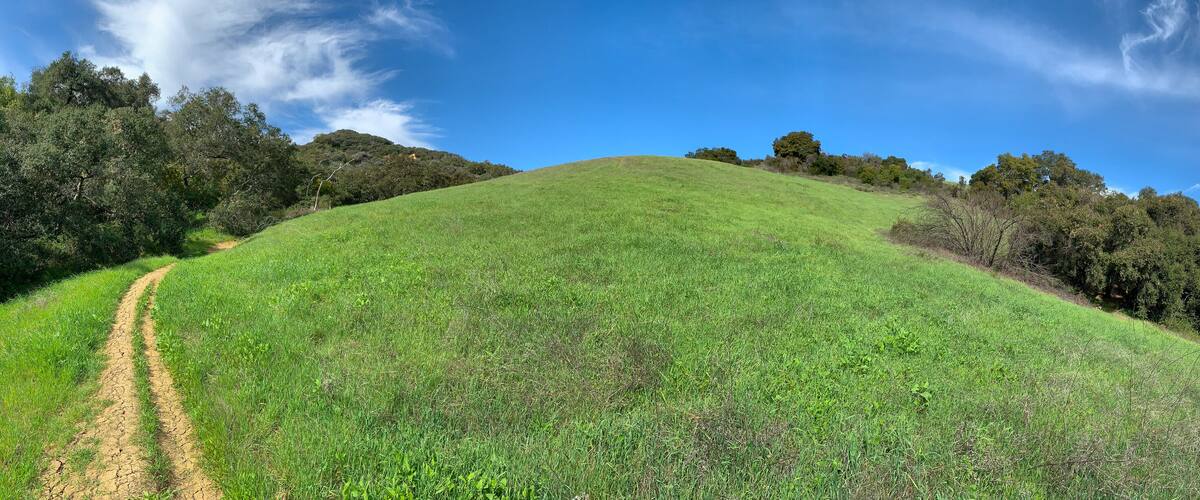 A grassy hill with a dirt path leading up to a forested area under a clear blue sky.