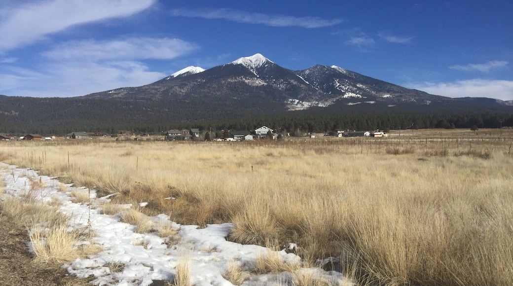 Too crowded to go up mountain